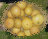 ccmof_website001013.jpg