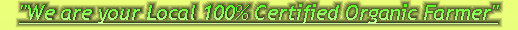 ccmof_website001021.jpg