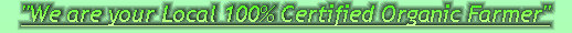 ccmof_website001022.jpg