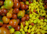 ccmof_website002001.jpg