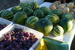 ccmof_website002005.jpg