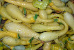 ccmof_website002032.jpg