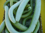 ccmof_website003006.jpg