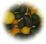 ccmof_website004001.jpg