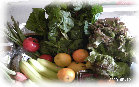 ccmof_website004002.jpg
