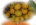 ccmof_website004010.jpg