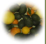ccmof_website006004.jpg