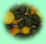 ccmof_website006005.jpg